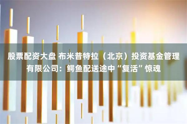 股票配资大盘 布米普特拉（北京）投资基金管理有限公司：鳄鱼配送途中“复活”惊魂